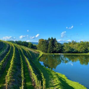 Exploring the Perkiomen Valley: Heritage and Vineyards