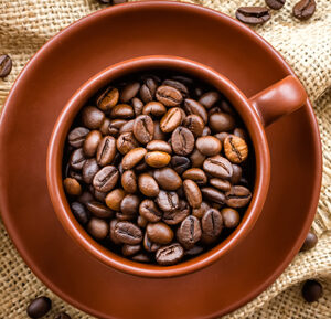 NEW! An Introduction to Coffee