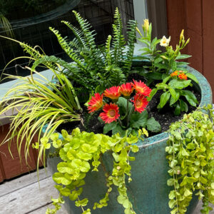 Container Gardening