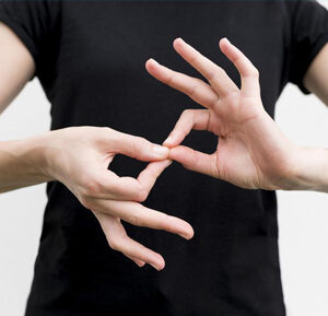 NEW! American Sign Language: Level 1