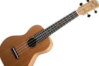 GETTING TO KNOW YOUR UKULELE