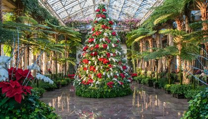 HOLIDAY SPARKLE AT LONGWOOD AND WINTERTHUR