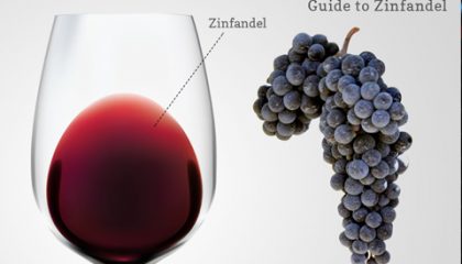 ZINFANDEL, THE (ALMOST) ALL-AMERICAN WINE!